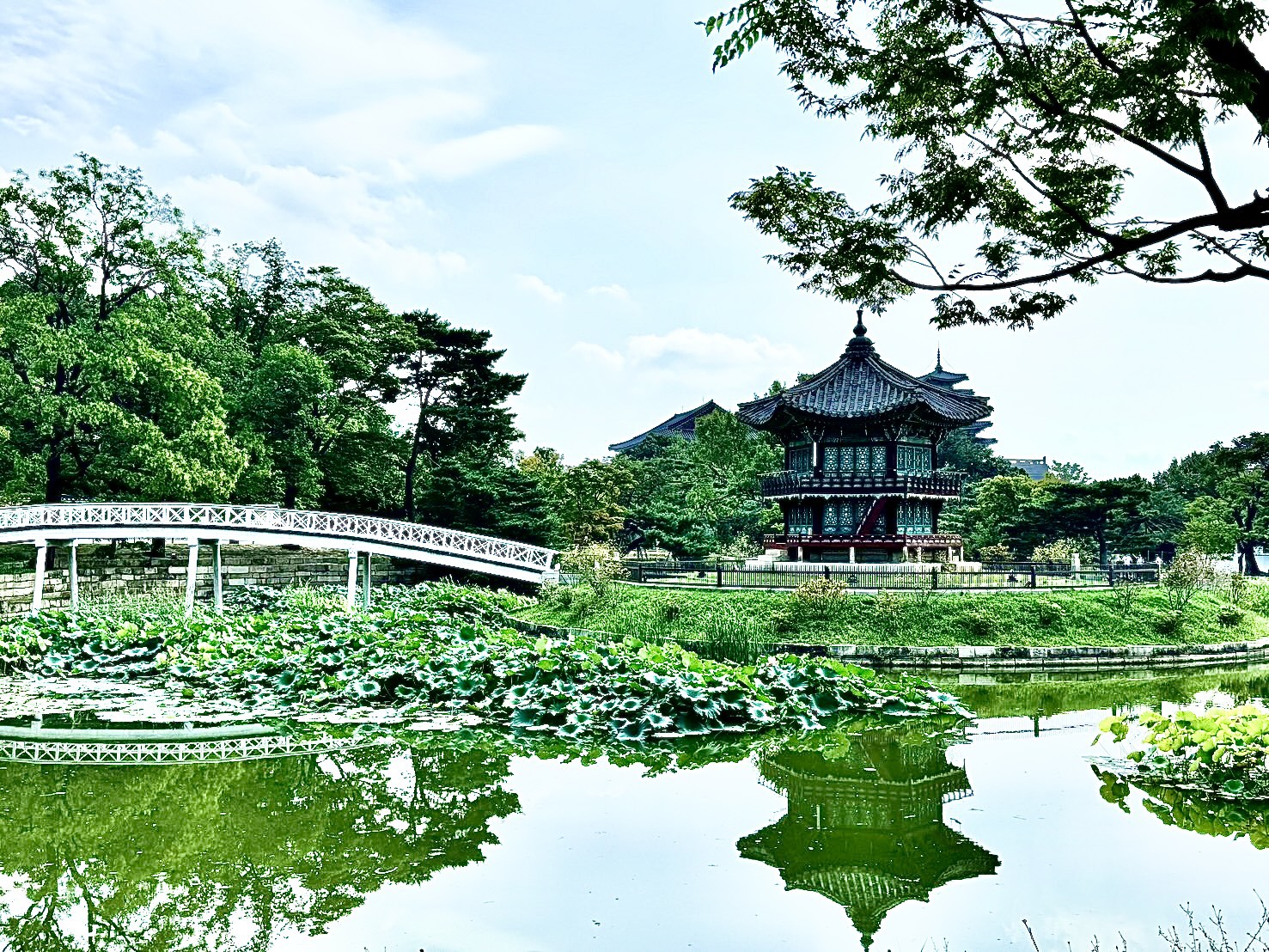 圖片1