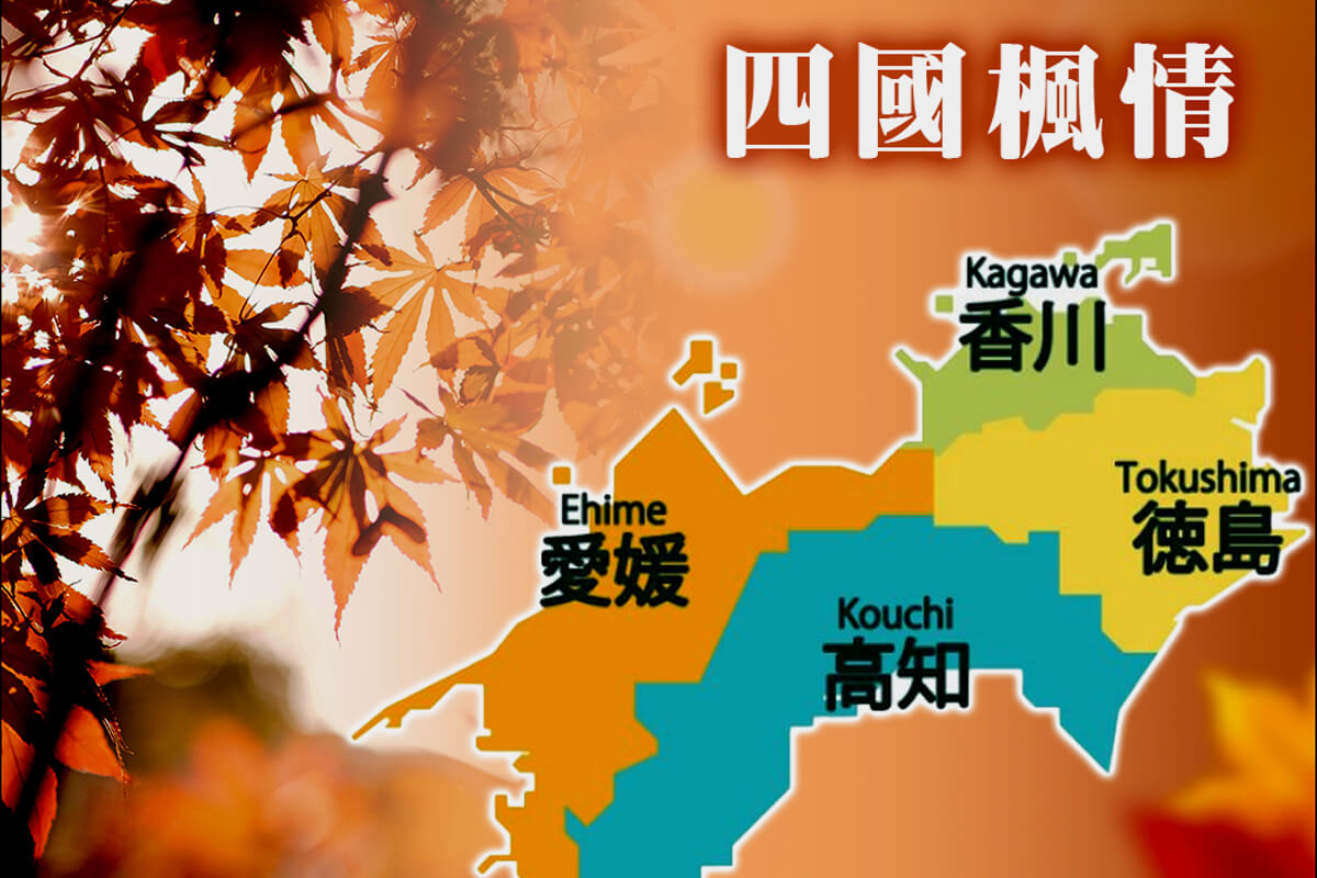 圖片1
