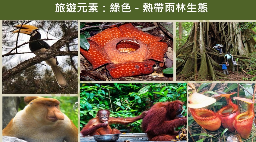 行程特色圖片